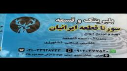 انواع بلبرینگ تسمه لنت ماشینی صنعتی کشاورزی