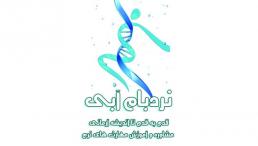 مهارت هی نرم با نردبام آبی