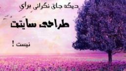 تخفیف عیدانه طراحی سایت رادیس افزار