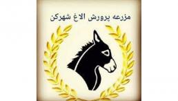 شیرالاغ(خر)