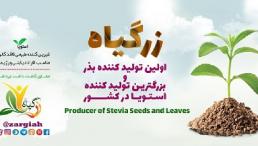 تولید کننده انواع گیاهان دارویی