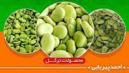 باقالی سبز خشک ، باقالی سبز تازه ، باقالی سبز منجمد