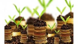تامین مالی از طریق ال سی