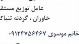 فروش انواع مصالح ساختمانی انواع گچ و سیمان