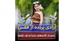 تحویل کادو و آزاد کردن پرنده 