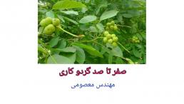 درآمد میلیاردی از باغداری