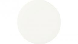 پوشال چوب جهت پوشش کف سالن مرغ داری و تهیه ی خاک اره جهت دامداری ها