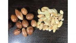 فروش دانه های روغنی و روغن های گیاهی و طبیعی